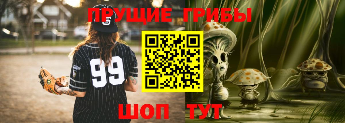 Галлюциногенные грибы Psilocybe Каменка